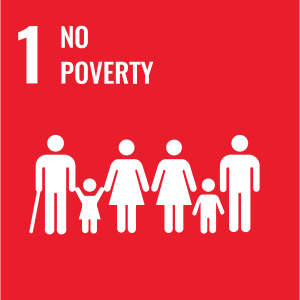 UN Sustainable Development Goal